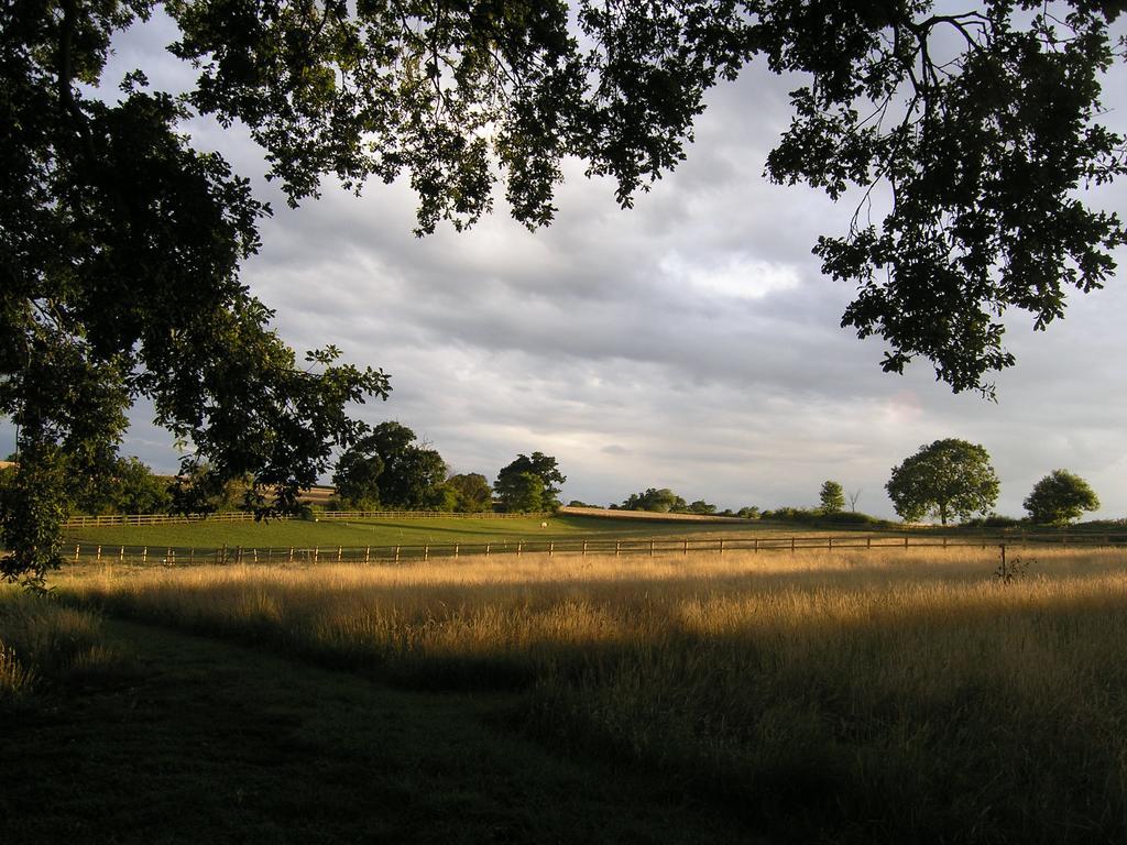 Bed and Breakfast Oak Tree Farm Yoxford Esterno foto